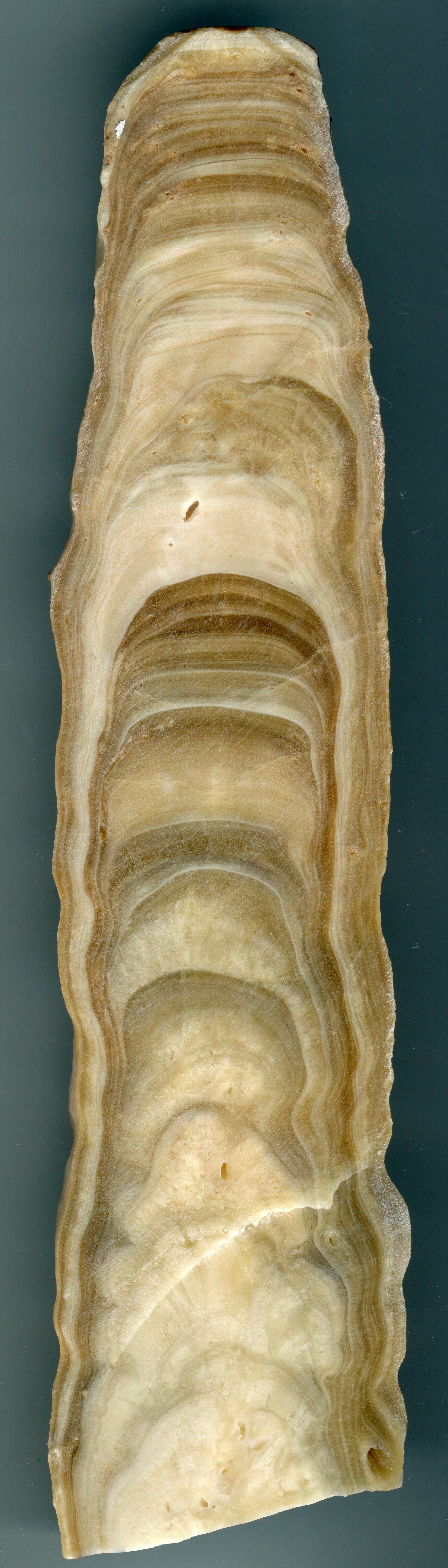 Speleothem growth layers